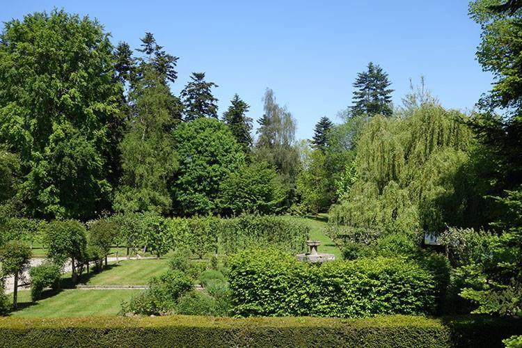 Gites Du Chateau De La Motte Joue-du-Plain Eksteriør billede