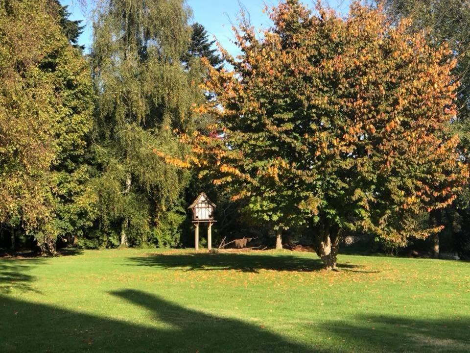 Gites Du Chateau De La Motte Joue-du-Plain Eksteriør billede