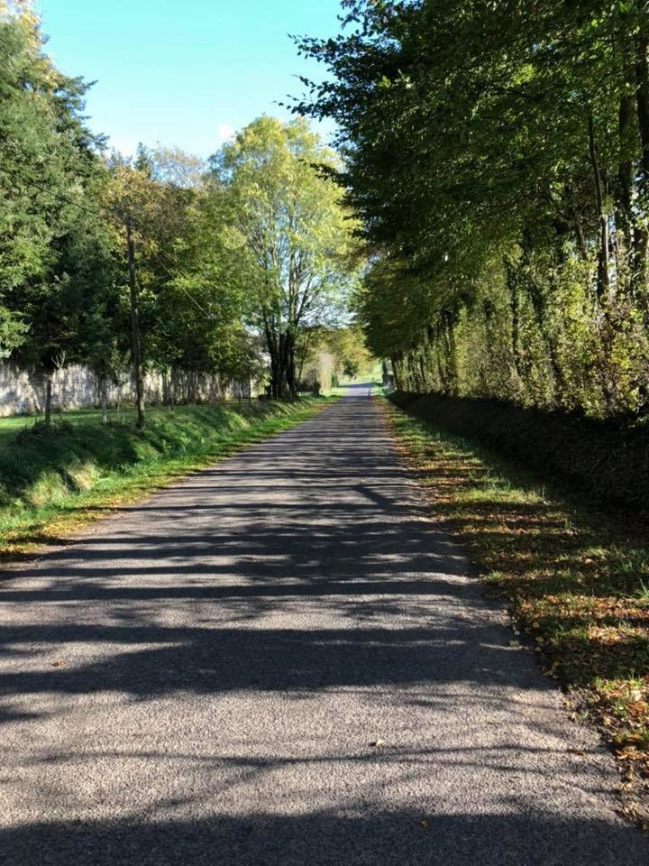 Gites Du Chateau De La Motte Joue-du-Plain Eksteriør billede